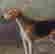 item-131360522=6