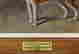 item-131360522=7