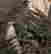 item-131360528=6