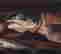 item-131360541=6