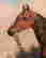 item-131360544=11