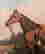 item-131360544=7