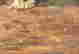 item-131360553=10