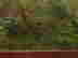 item-131360563=10
