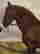 item-131360563=7