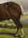 item-131360563=8