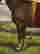 item-131360563=9