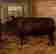 item-131360568=7