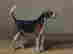 item-131360575=5