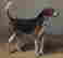 item-131360575=6
