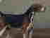 item-131360575=7