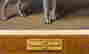 item-131360575=8