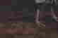 item-131360576=5