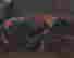 item-131360576=7