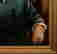 item-131360581=11