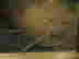 item-131360583=10