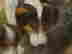 item-131360583=9
