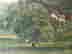 item-132917037=8