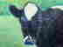 item-132917061=3