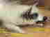item-132917084=10