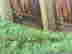 item-132917111=9