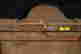 item-133672796=11