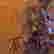 item-133672893=5