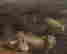 item-136407157=6