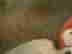 item-136407378=7