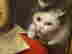 item-136407378=8