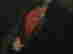 item-136407406=4