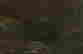 item-136407463=5