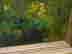item-136407709=11