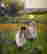 item-136407709=4