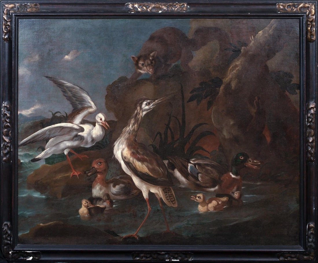 BIRDS & WATER FOWL OIL PAINTING: Year: 18th century Size: 62" x 52" Medium: Oil Description: Waterfowl, birds, and a marsupial are depicted in a massive oil painting from the 17th century that is credited to Giovanni Crivelli. Grand