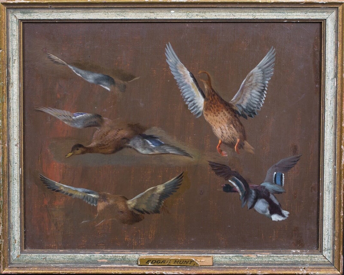 STUDY OF VARIOUS WILD BIRDS OIL PAINTING: Year: 19th century Size: 30cm x 25cm Medium: Oil Description: Beautiful 19th-century English study of different wild birds with Edgar Hunt's oil on board. A unique collection of studies of different b