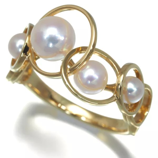 みる ミニ パワースモールポンプ 316L ステンレススチール高圧ポンプ