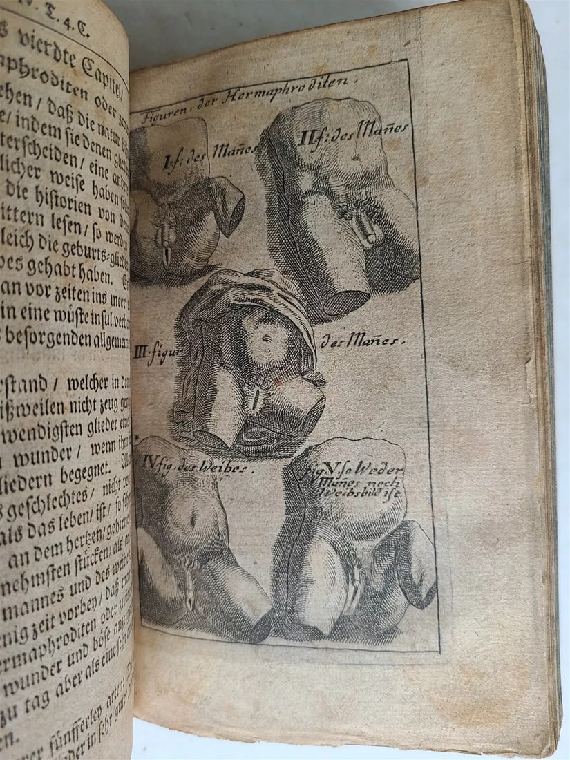 1711 N. VENETE'S "SEXOLOGY OF FEMALE DISEASES: AN ILLUSTRATED TREATMENT" IN OLD GERMAN: Year/Century: 18th century Language: German Subject: Illustrated Binding: Vellum Description: Abhandlung von Erzeugung der Menschen, written by Nicolas Venette, is a treatise on human generation. Frit
