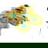 item-209656712=4