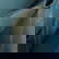 item-210224784=8