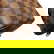 item-210229605=8