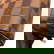 item-210229605=9