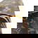 item-210230390=10