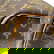 item-210230390=11