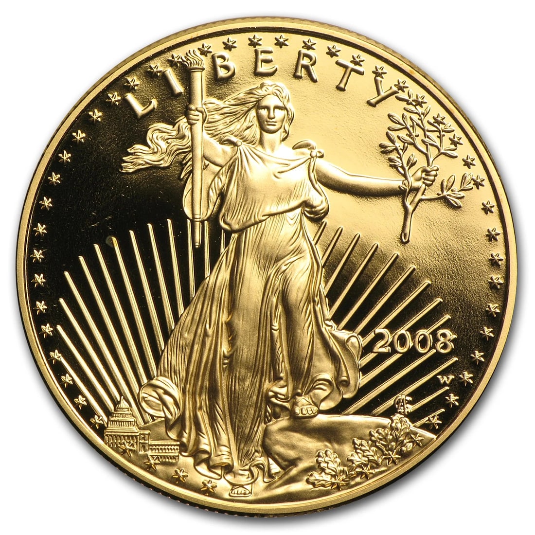 2008-W PROOF AMERICAN GOLD EAGLE (FS) (1 of 2)