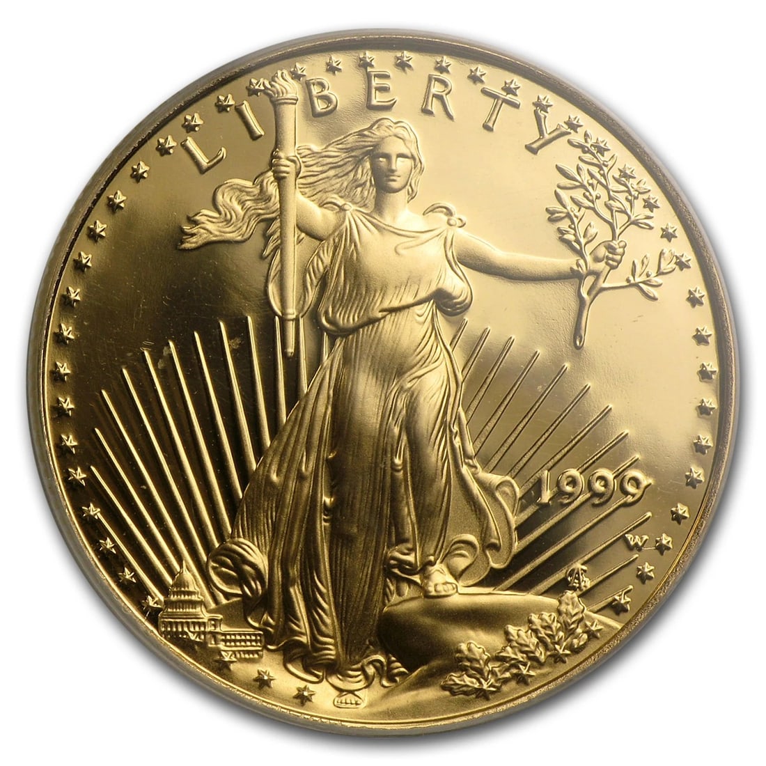 1999-W PROOF AMERICAN GOLD EAGLE PR-69 DCAM: 1999-W Proof American Gold Eagle PR-69 DCAM Brand: US Mint Year: 1999 Certification: PCGS Fineness: 0.9167 Brand/Mint: None Coin: None Grade: None Denomination: $25 Coun