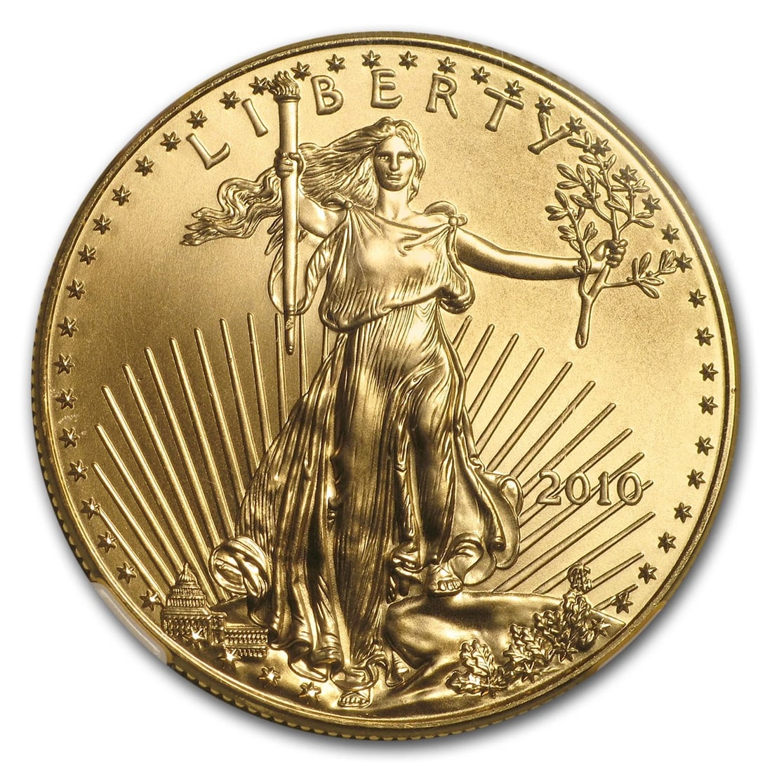 2010 1 OZ AMERICAN GOLD EAGLE (1 of 2)