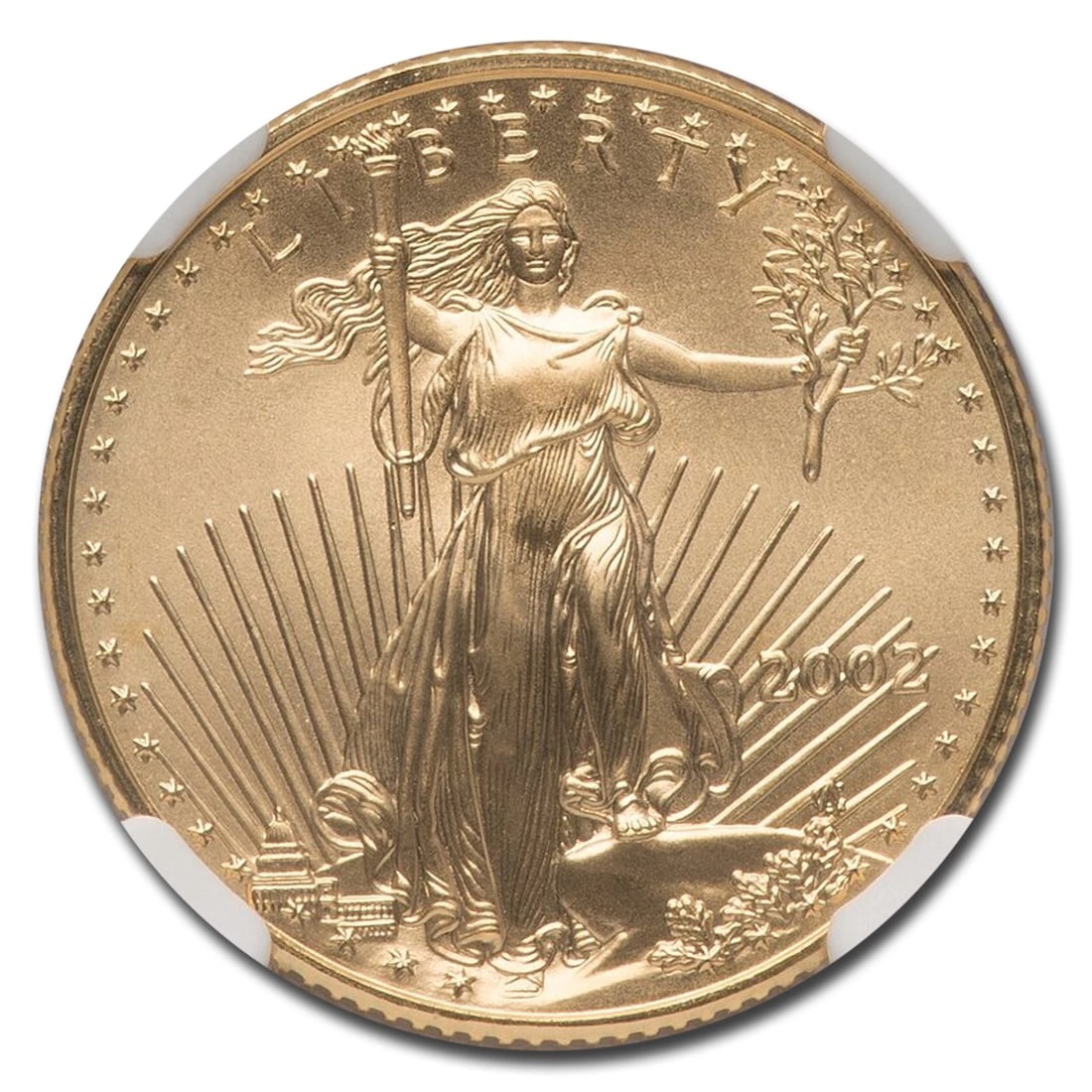 2002 1/4 OZ AMERICAN GOLD EAGLE (1 of 2)