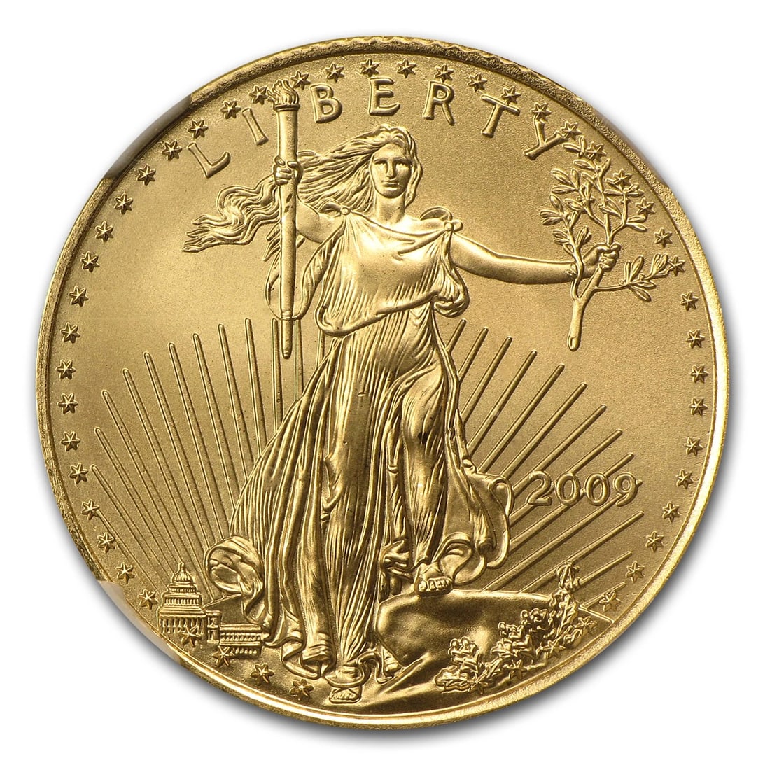 2009 1/4 OZ AMERICAN GOLD EAGLE (1 of 2)