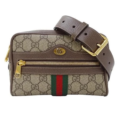 GUCCI OPHIDIA MINI BAG (1 of 5)